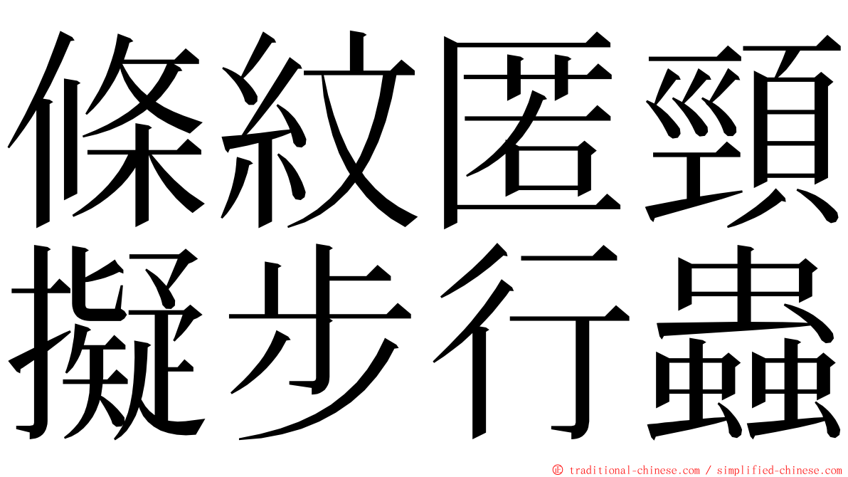 條紋匿頸擬步行蟲 ming font