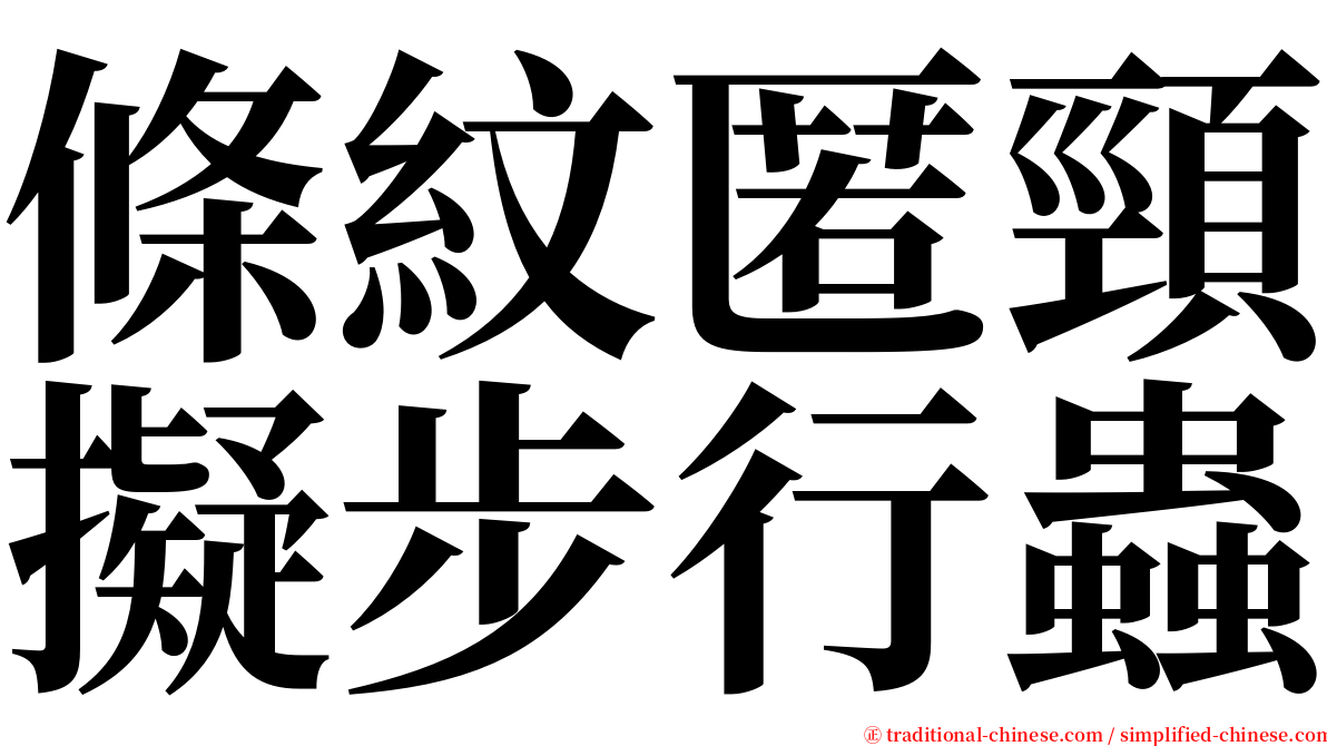 條紋匿頸擬步行蟲 serif font