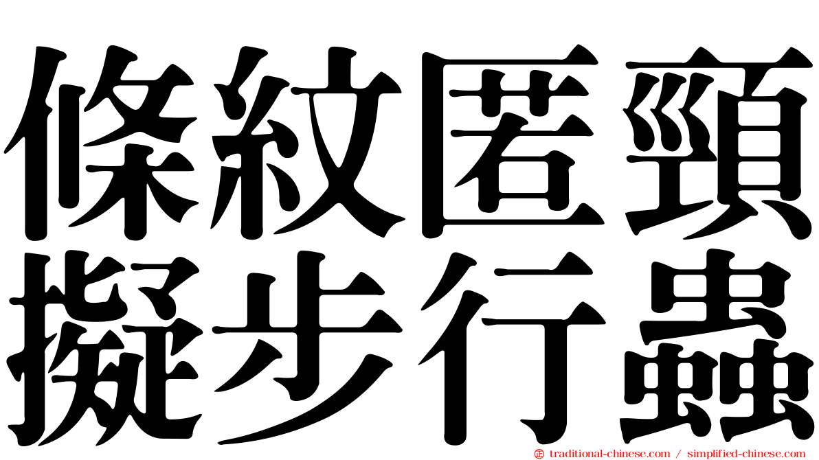 條紋匿頸擬步行蟲