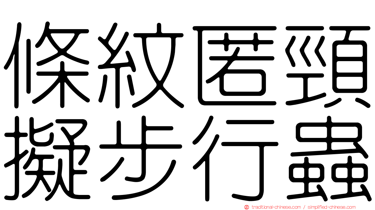 條紋匿頸擬步行蟲