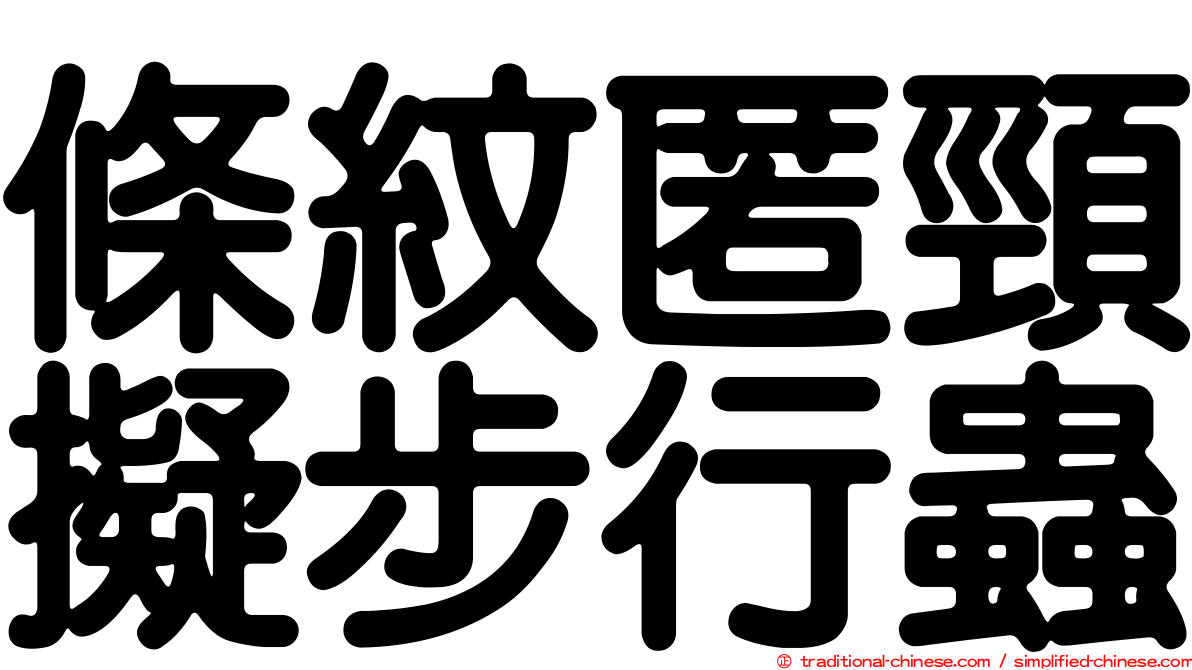條紋匿頸擬步行蟲