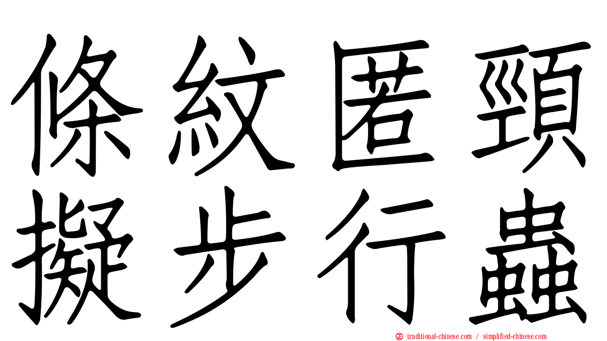 條紋匿頸擬步行蟲