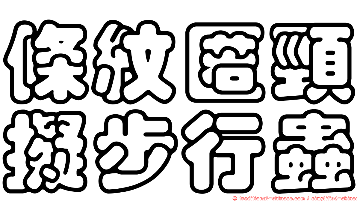 條紋匿頸擬步行蟲