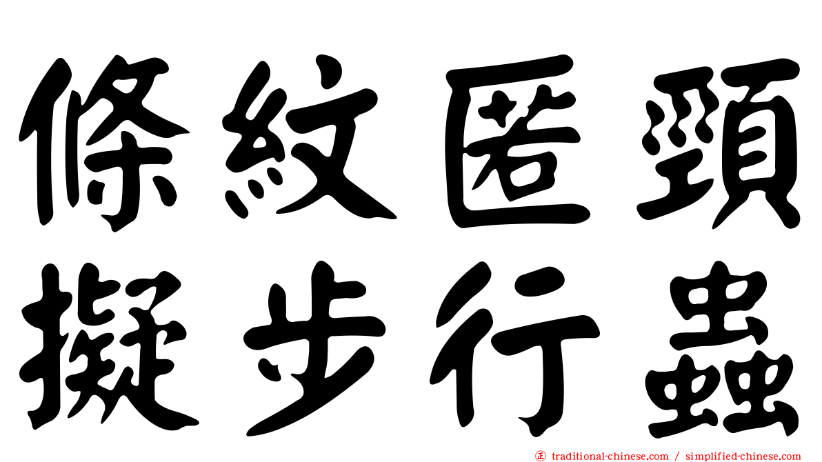 條紋匿頸擬步行蟲