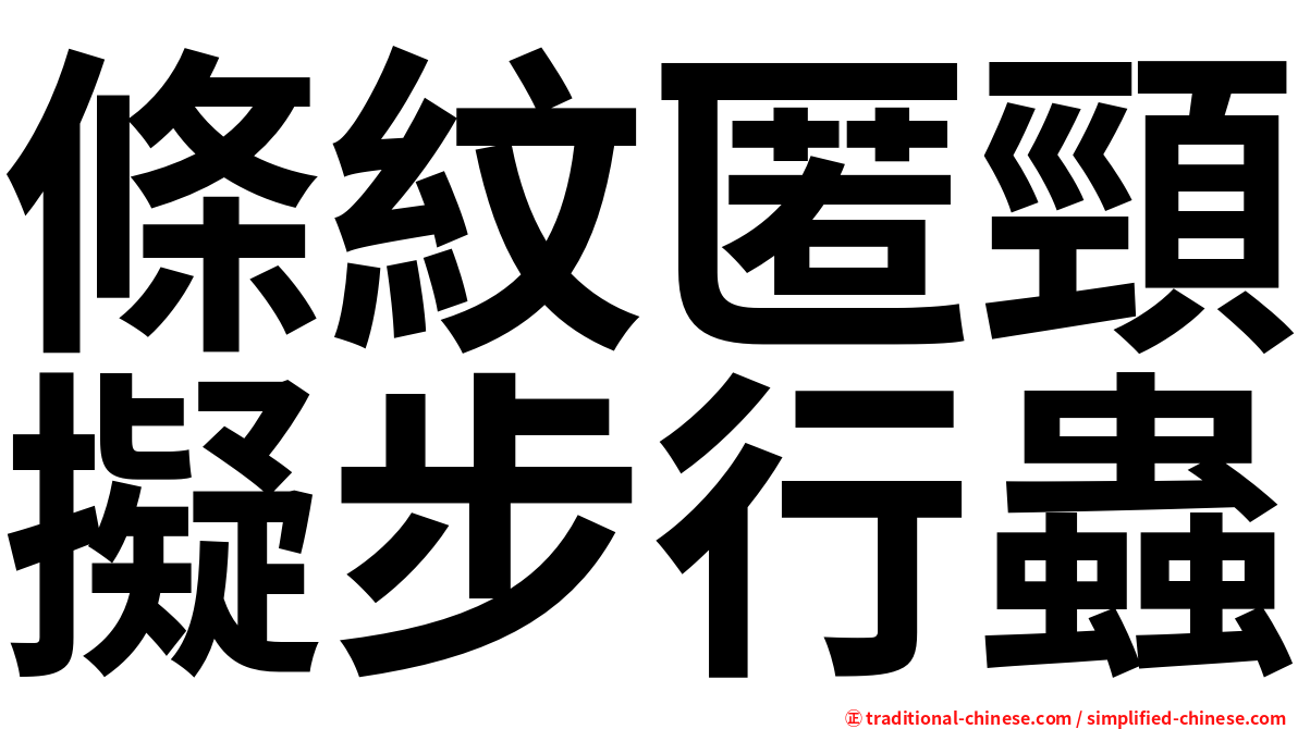 條紋匿頸擬步行蟲