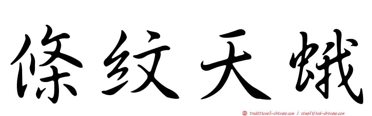 條紋天蛾