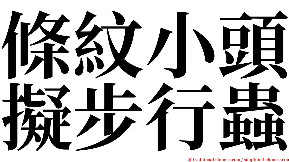 條紋小頭擬步行蟲 serif font
