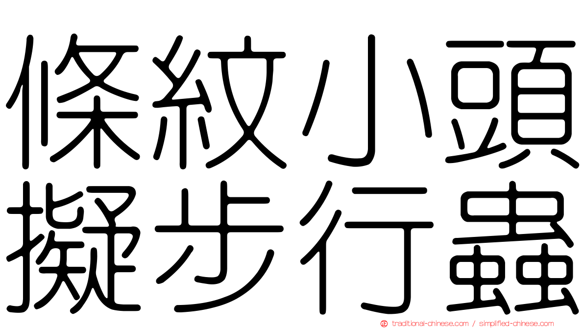 條紋小頭擬步行蟲