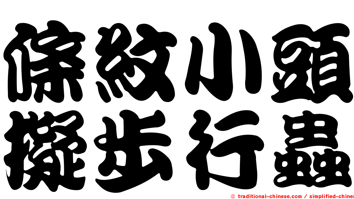 條紋小頭擬步行蟲