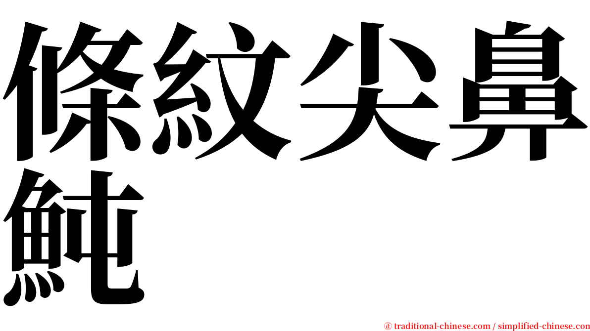 條紋尖鼻魨 serif font