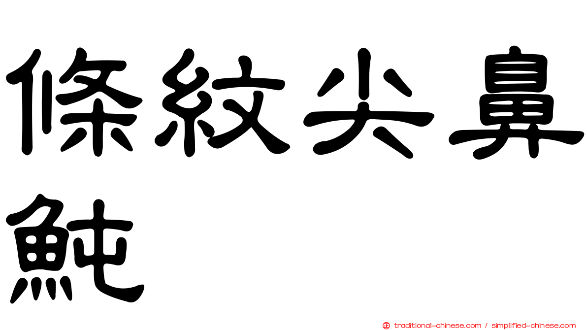 條紋尖鼻魨