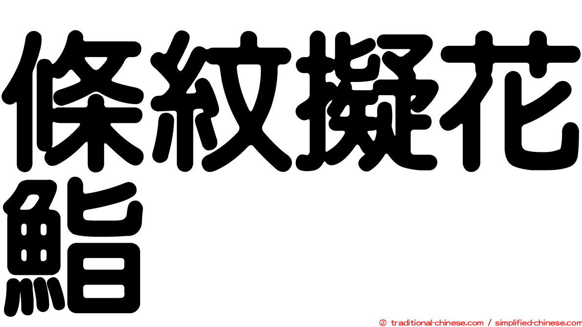 條紋擬花鮨