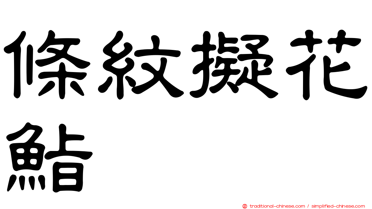 條紋擬花鮨