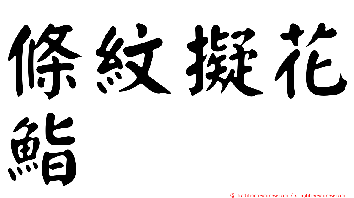 條紋擬花鮨