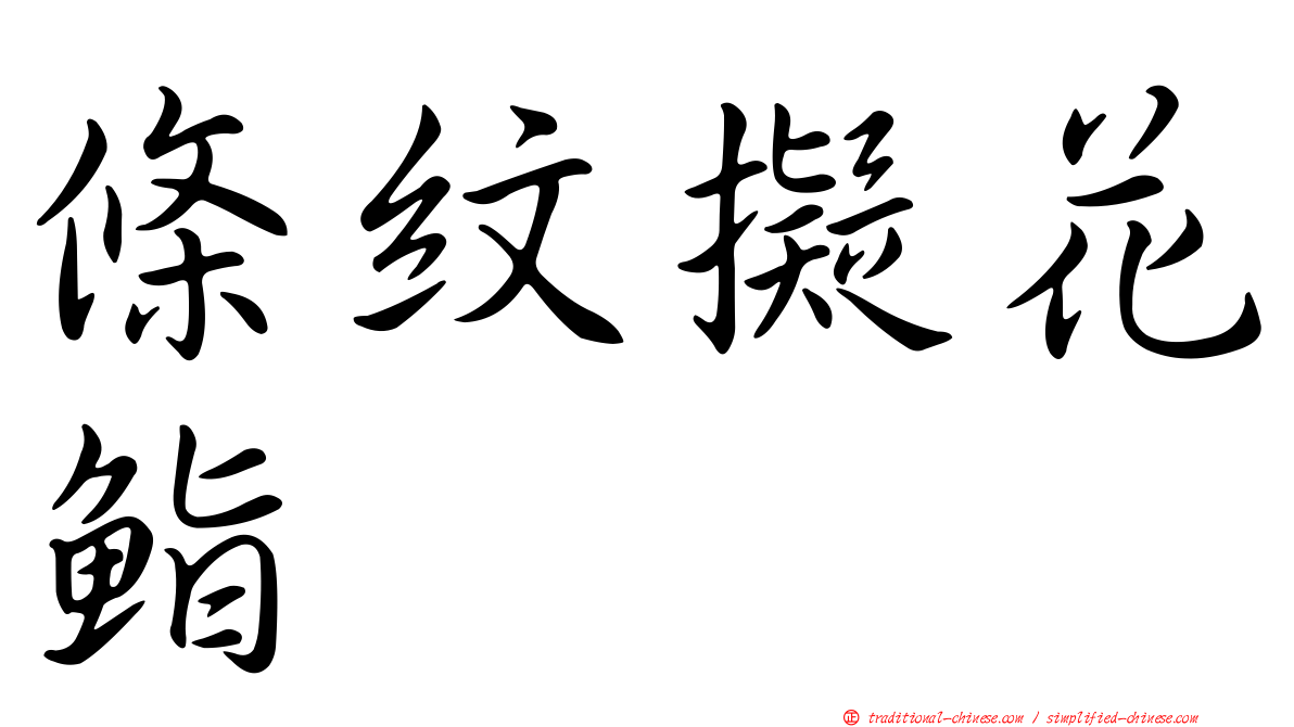 條紋擬花鮨