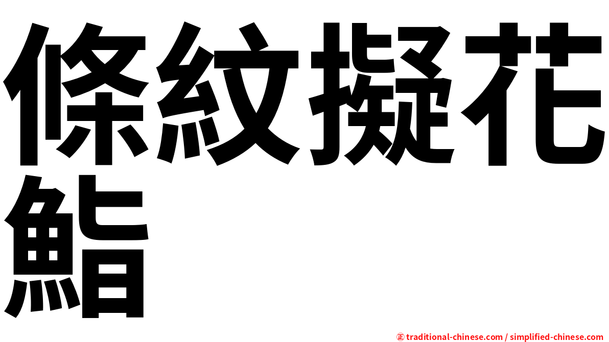 條紋擬花鮨