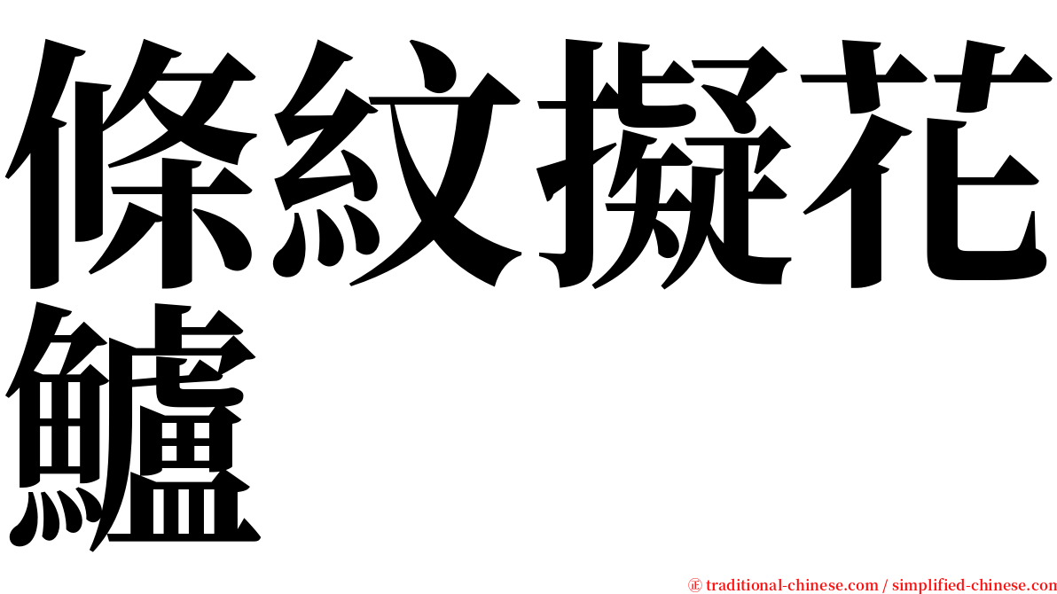 條紋擬花鱸 serif font