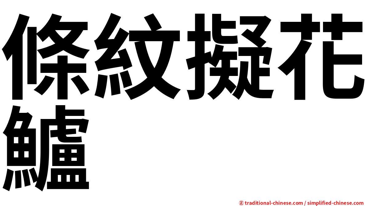條紋擬花鱸