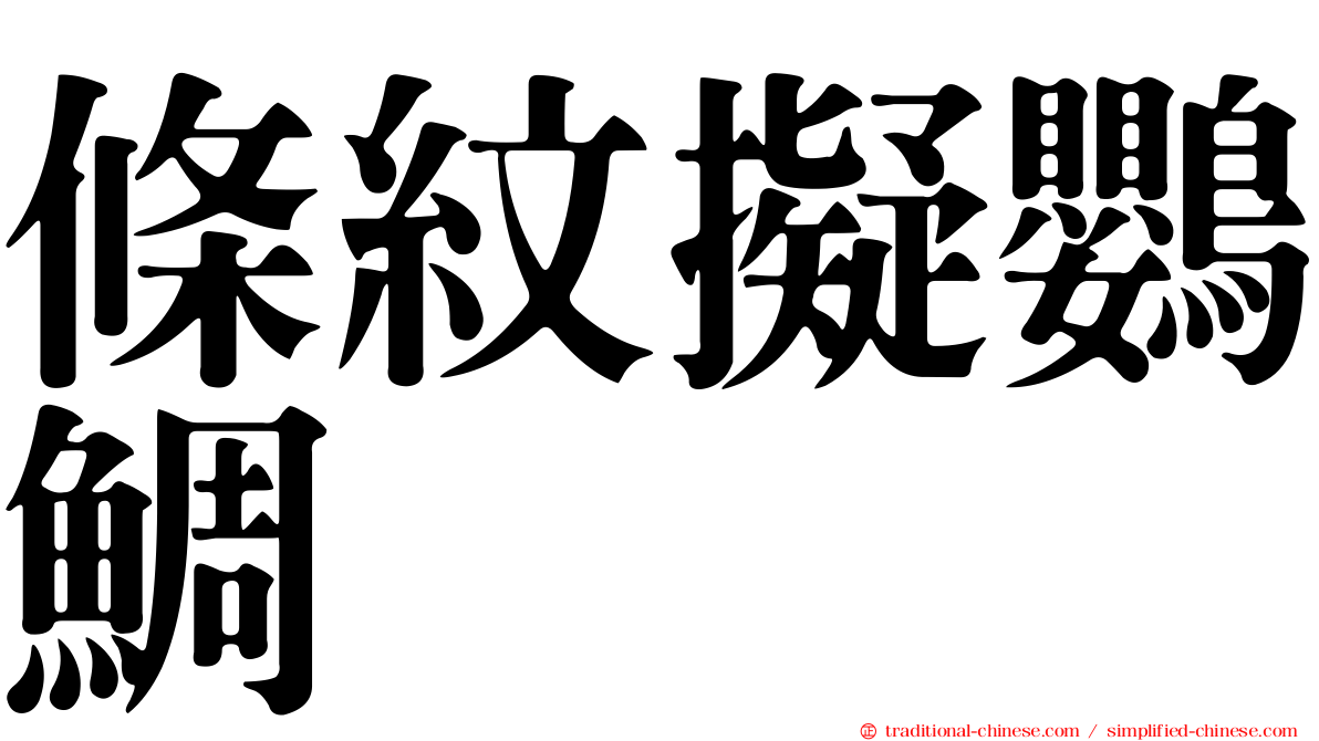 條紋擬鸚鯛