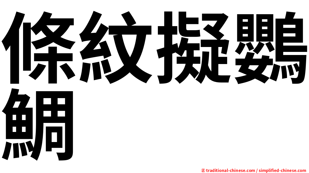 條紋擬鸚鯛