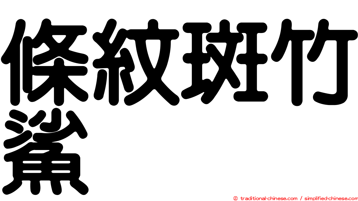 條紋斑竹鯊