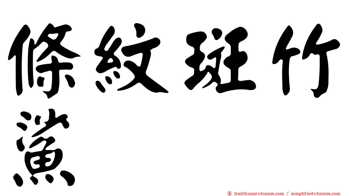 條紋斑竹鯊