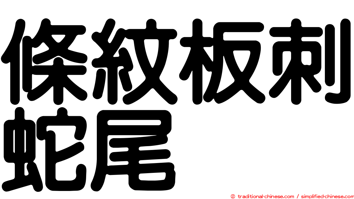 條紋板刺蛇尾