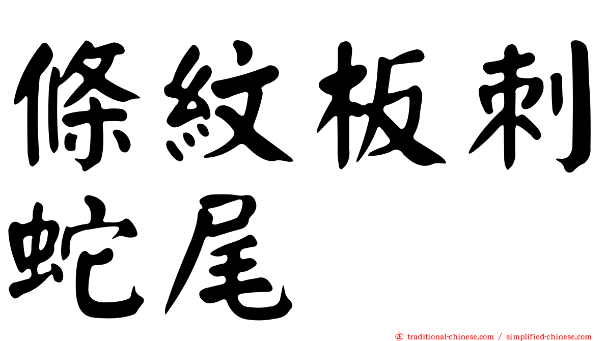 條紋板刺蛇尾