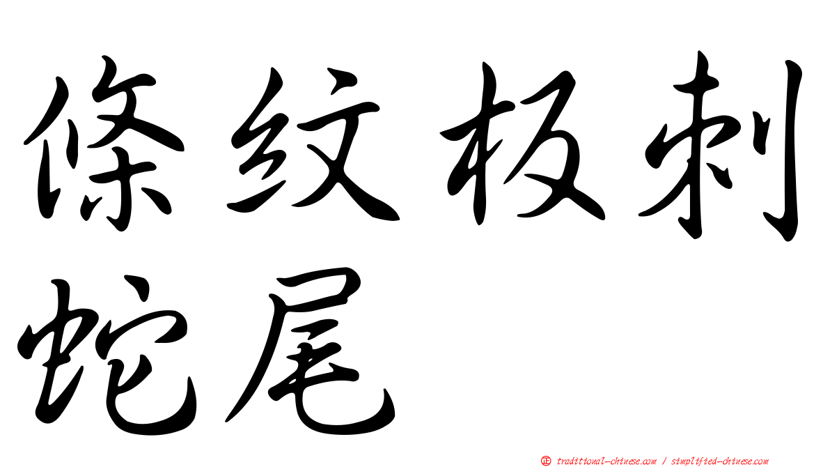 條紋板刺蛇尾