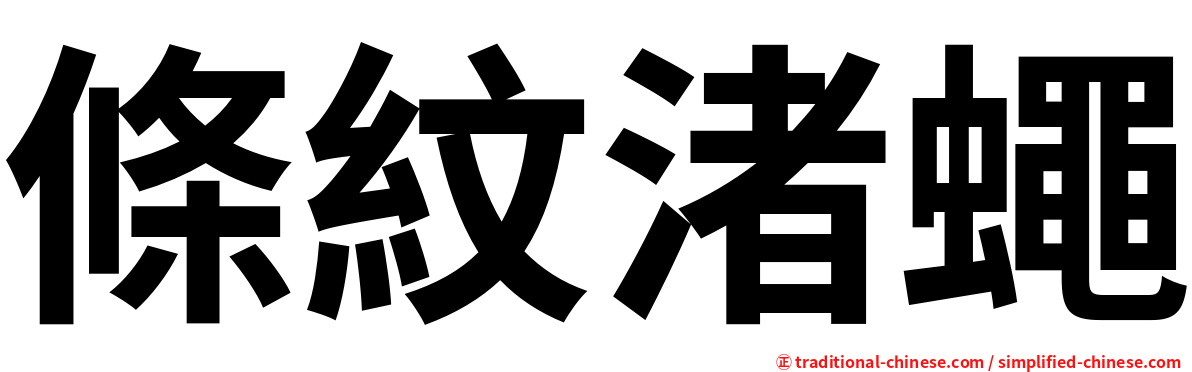條紋渚蠅