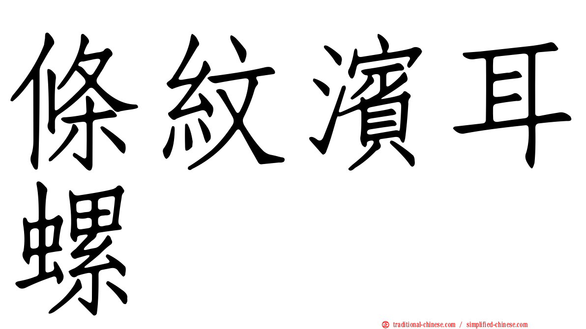 條紋濱耳螺