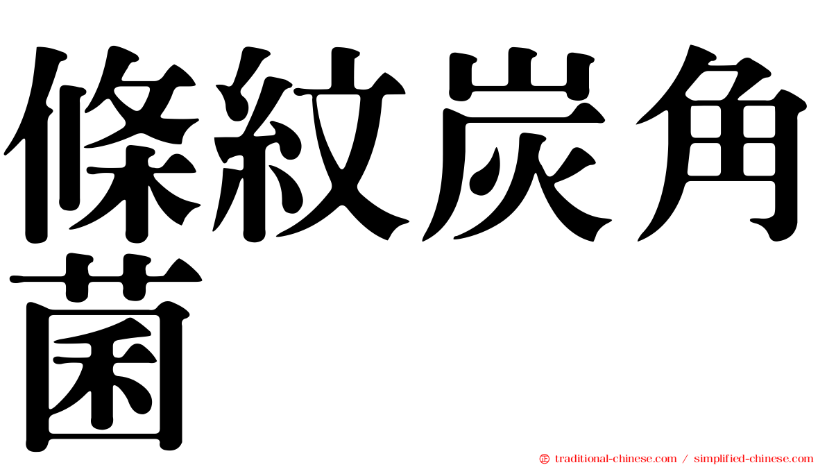條紋炭角菌
