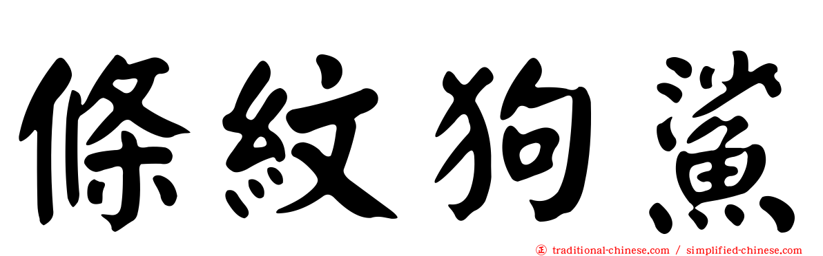 條紋狗鯊