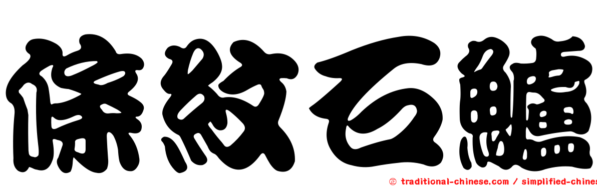 條紋石鱸