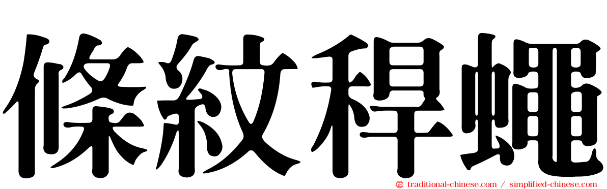 條紋稈蠅
