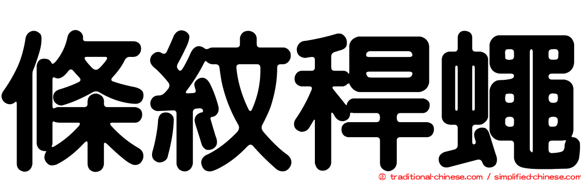 條紋稈蠅
