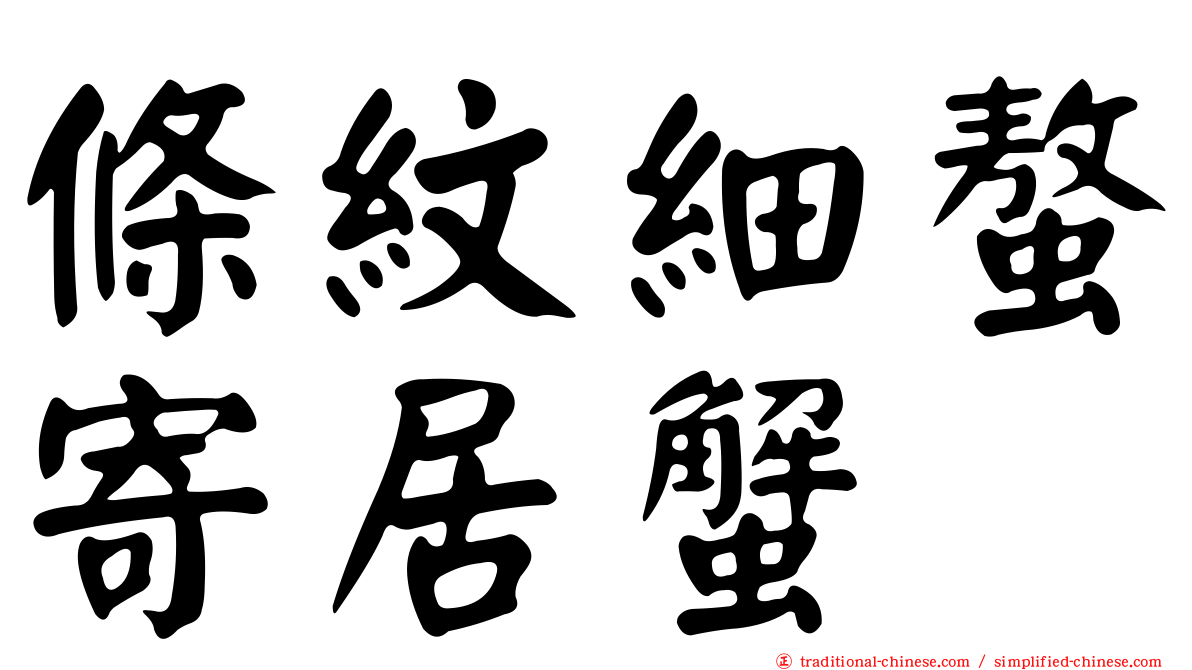 條紋細螯寄居蟹
