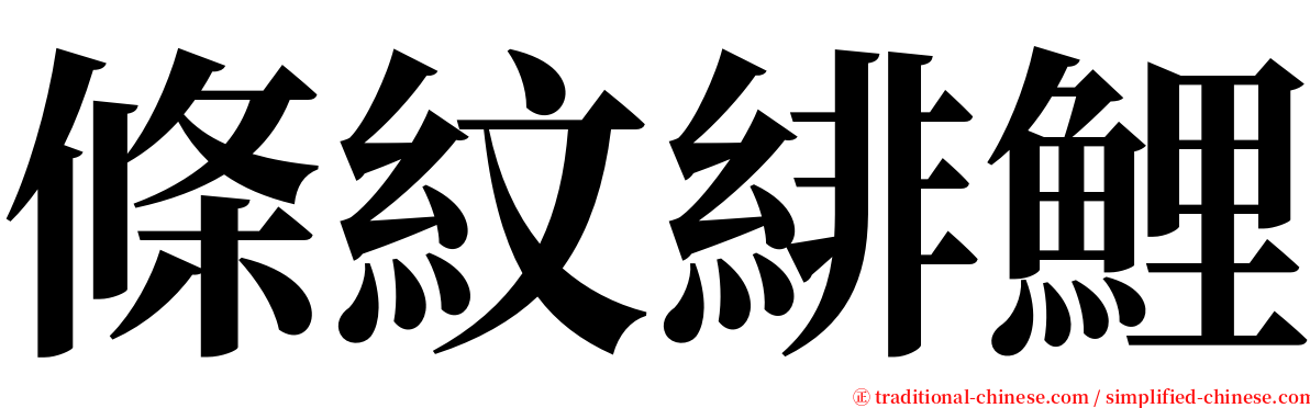 條紋緋鯉 serif font