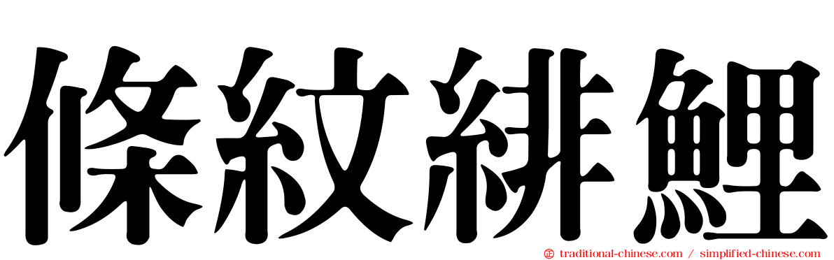 條紋緋鯉