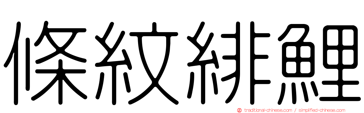 條紋緋鯉