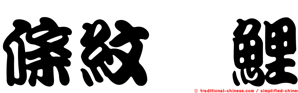 條紋緋鯉
