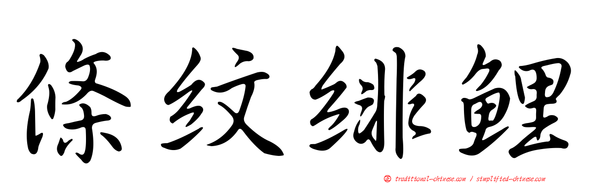 條紋緋鯉
