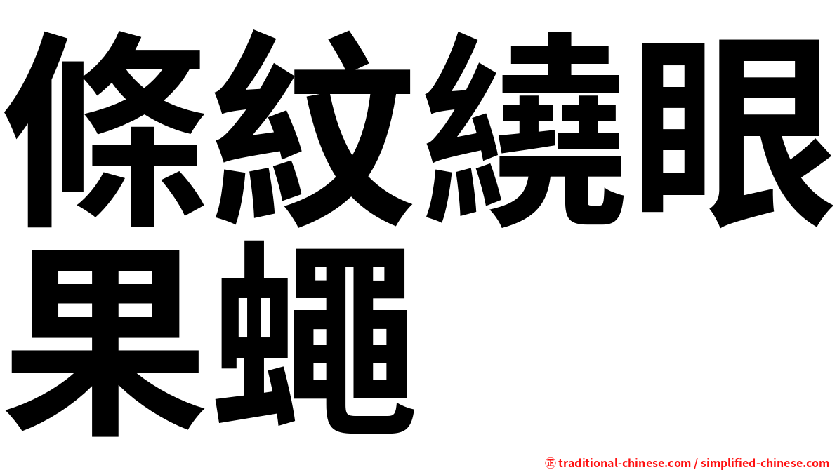 條紋繞眼果蠅