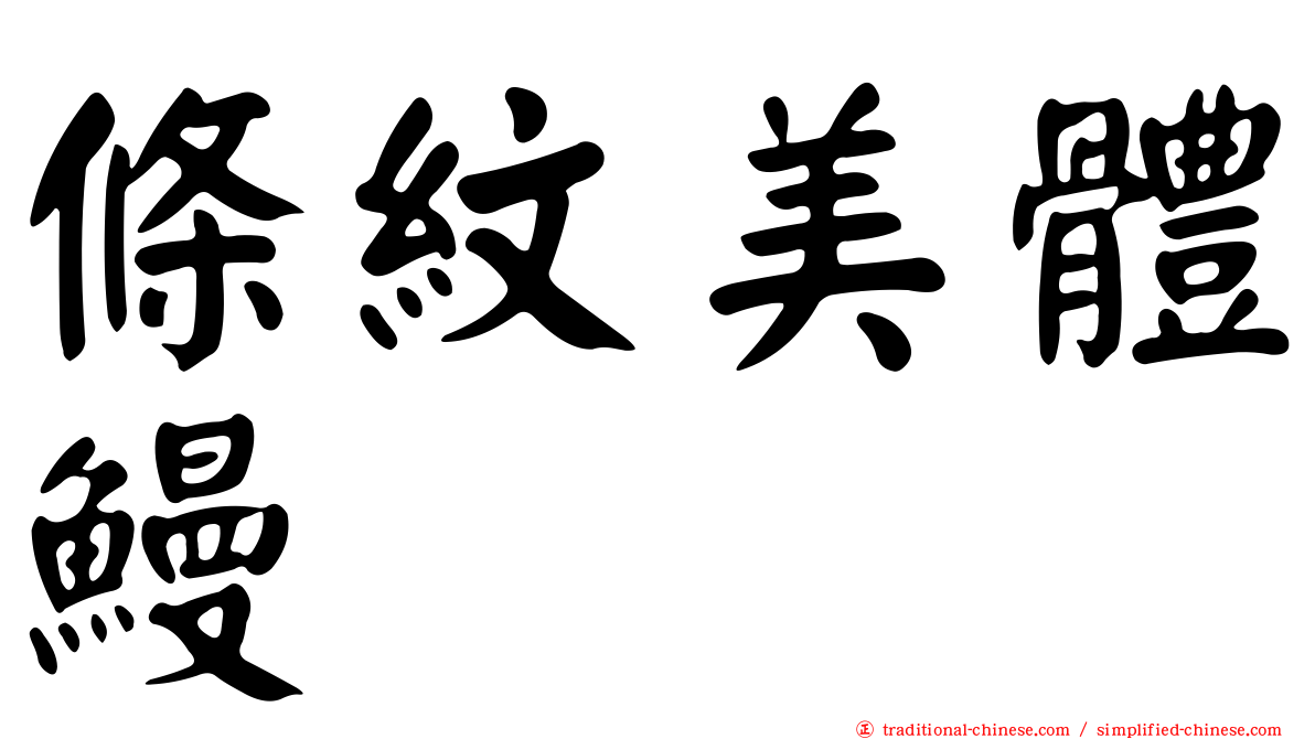 條紋美體鰻