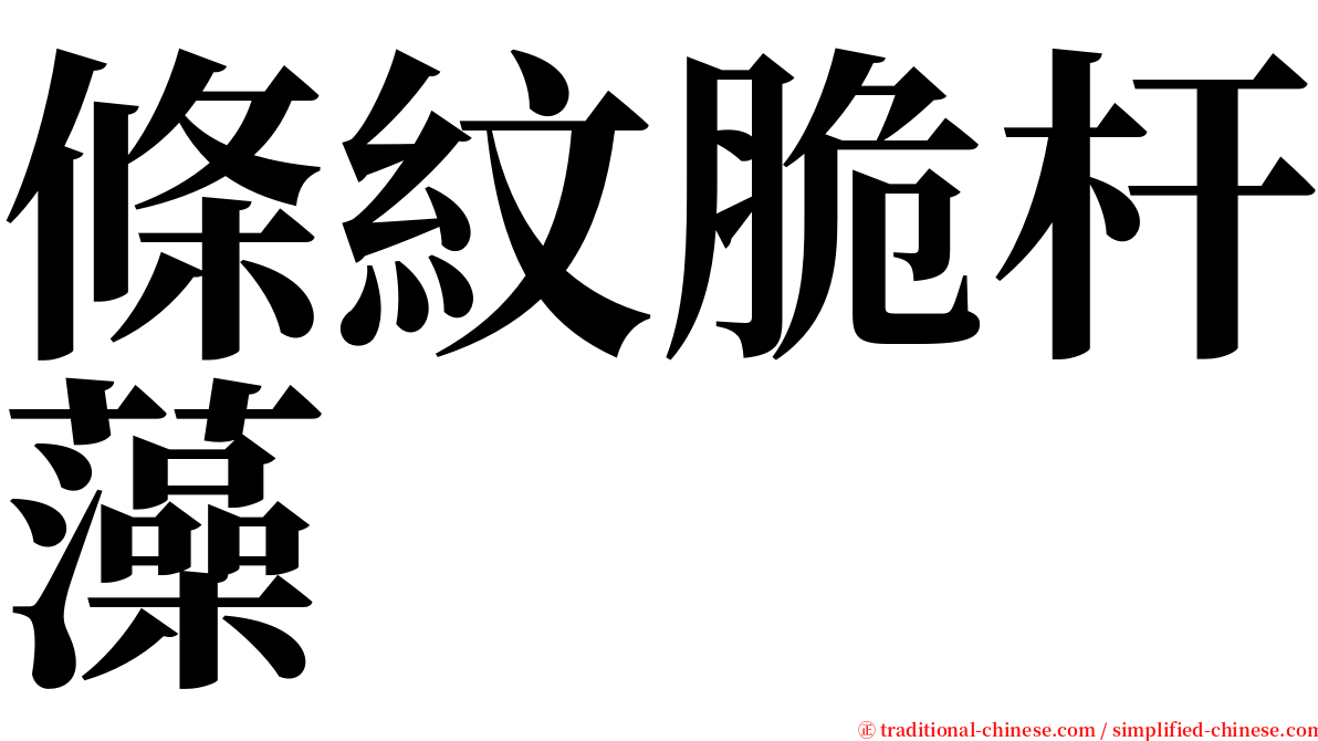 條紋脆杆藻 serif font