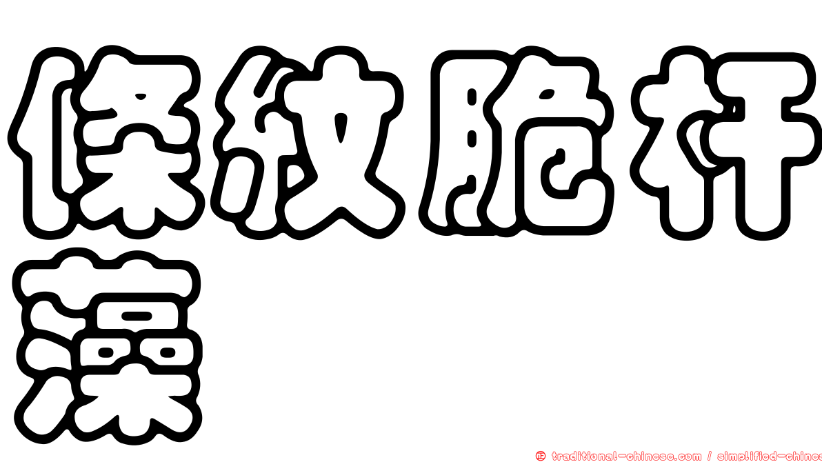 條紋脆杆藻