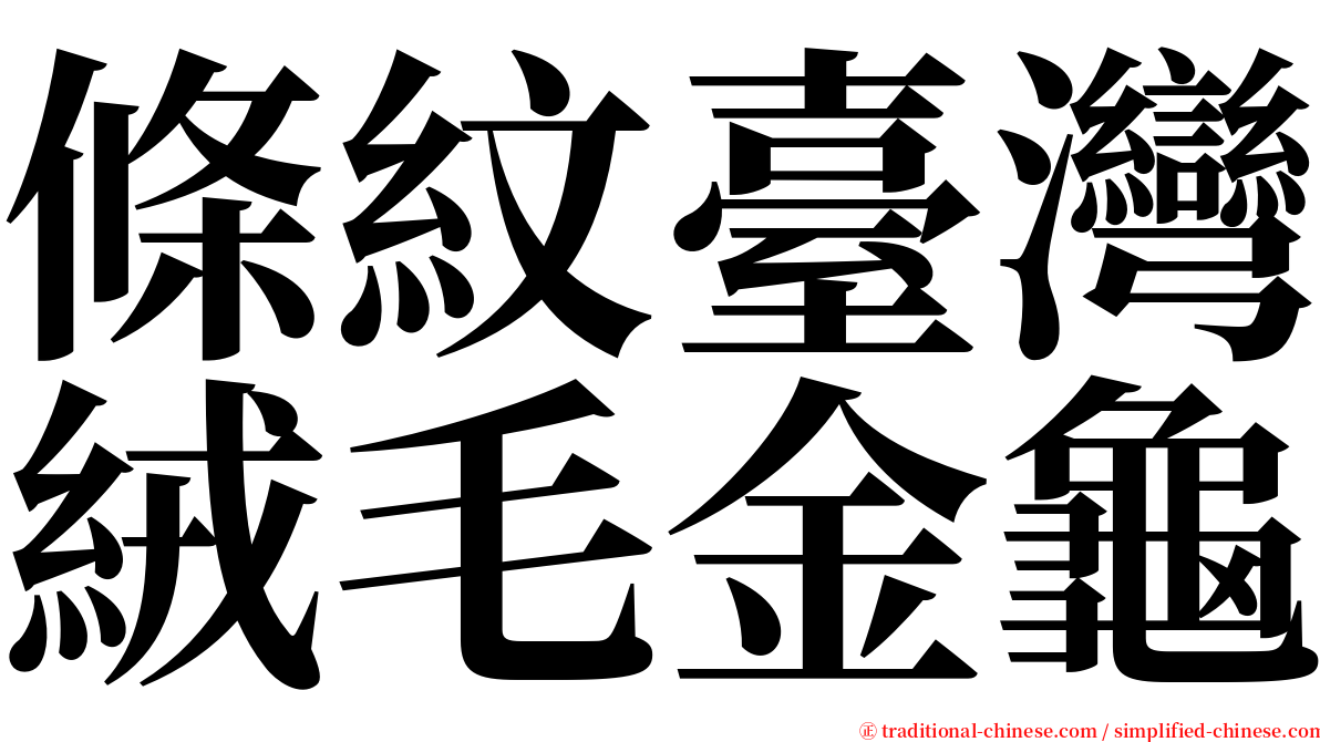 條紋臺灣絨毛金龜 serif font