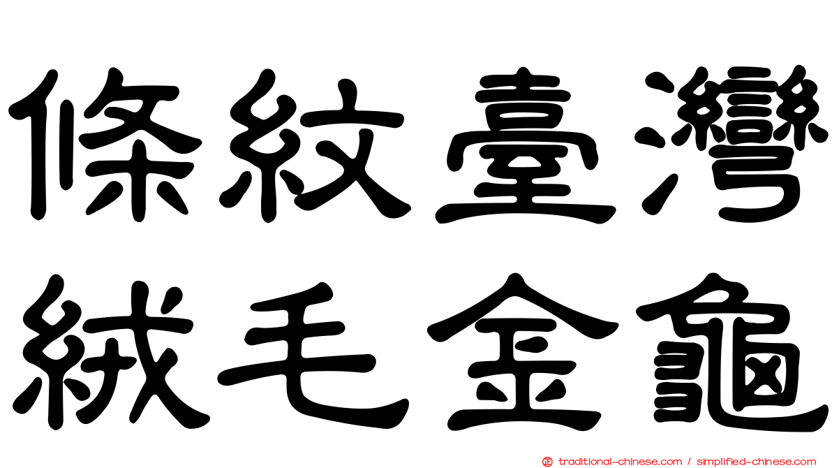 條紋臺灣絨毛金龜