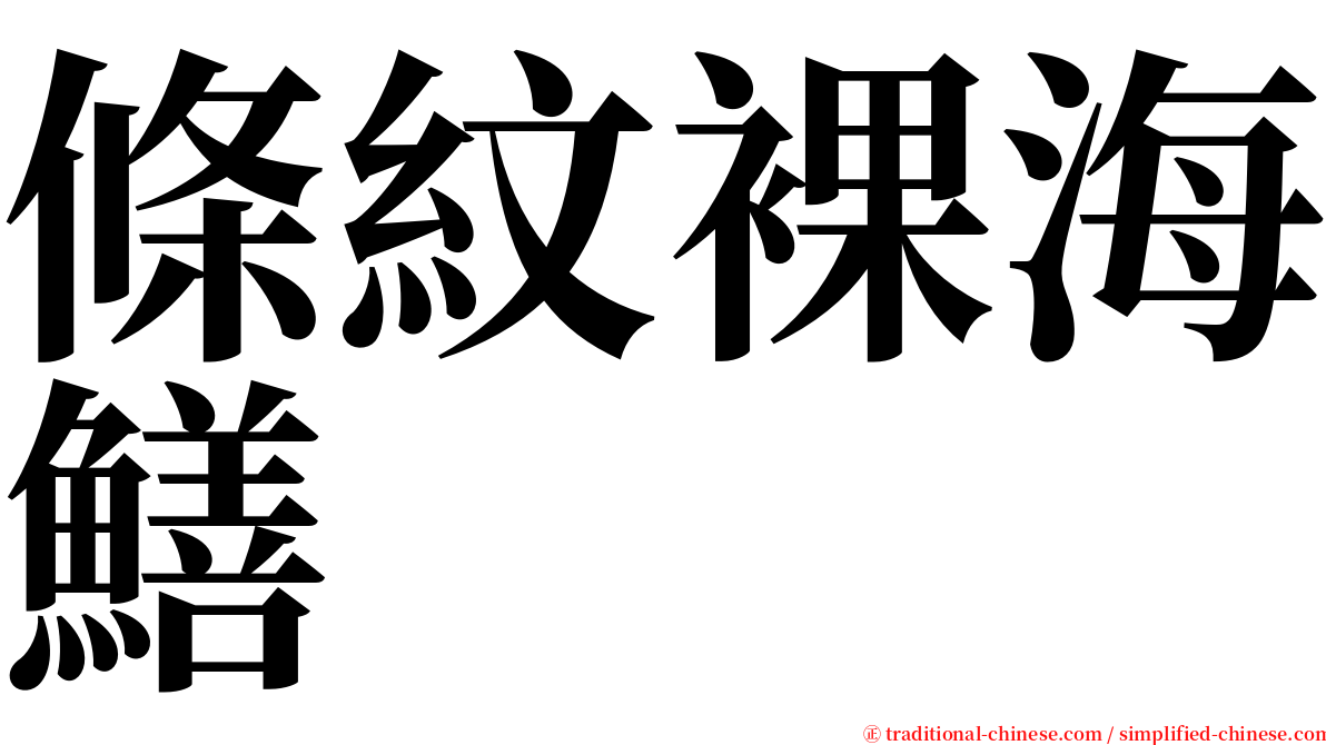 條紋裸海鱔 serif font