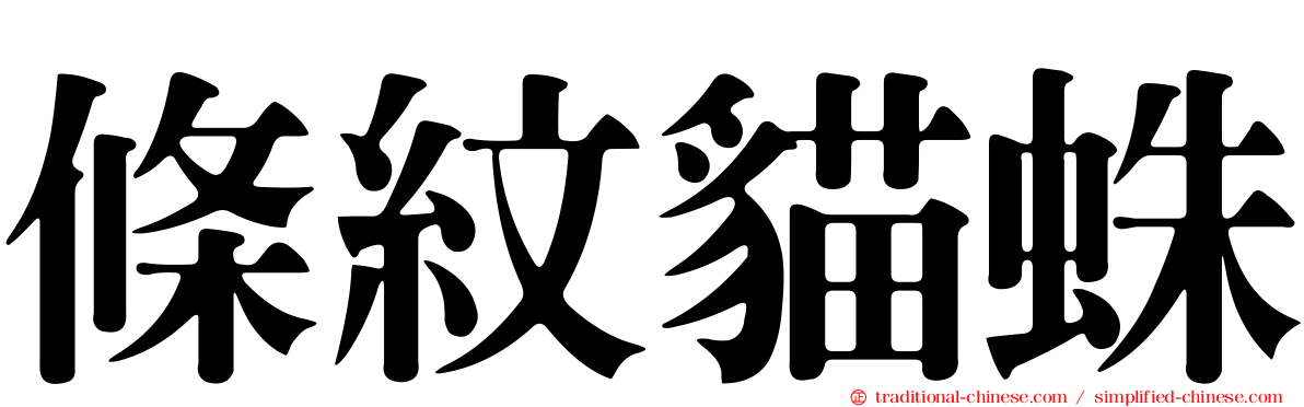 條紋貓蛛